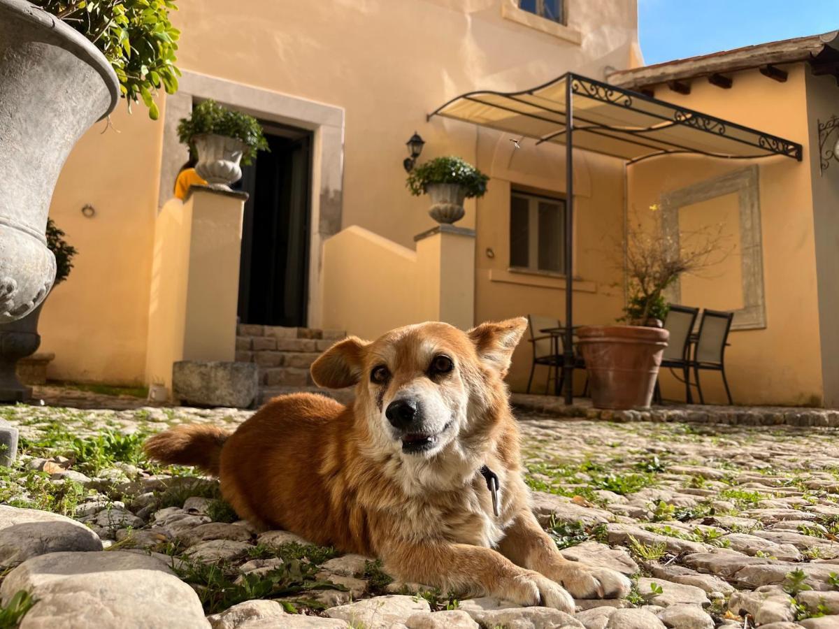 Agriturismo Castello Santa Margherita Cori ภายนอก รูปภาพ